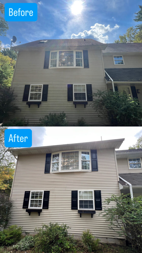 yameila front house side 1 before & after