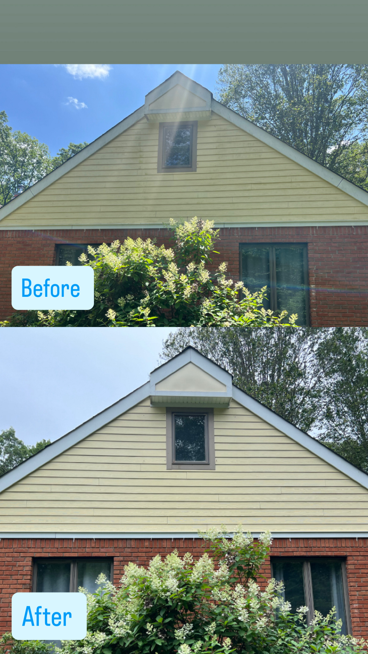 Long Valley NJ gutter whitening and siding cleaning before and after