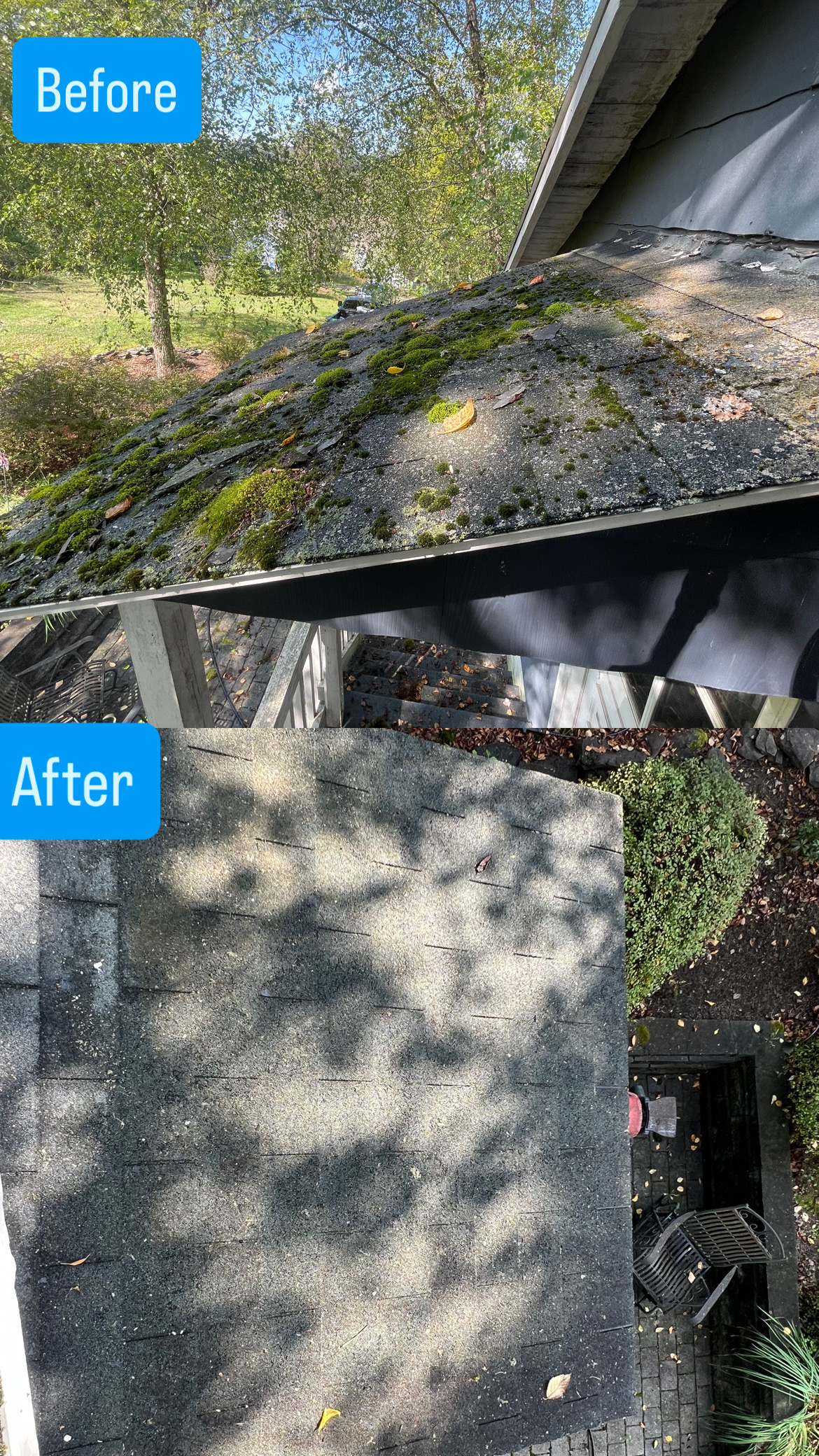 Roof washing before and after by Capps Power Washing