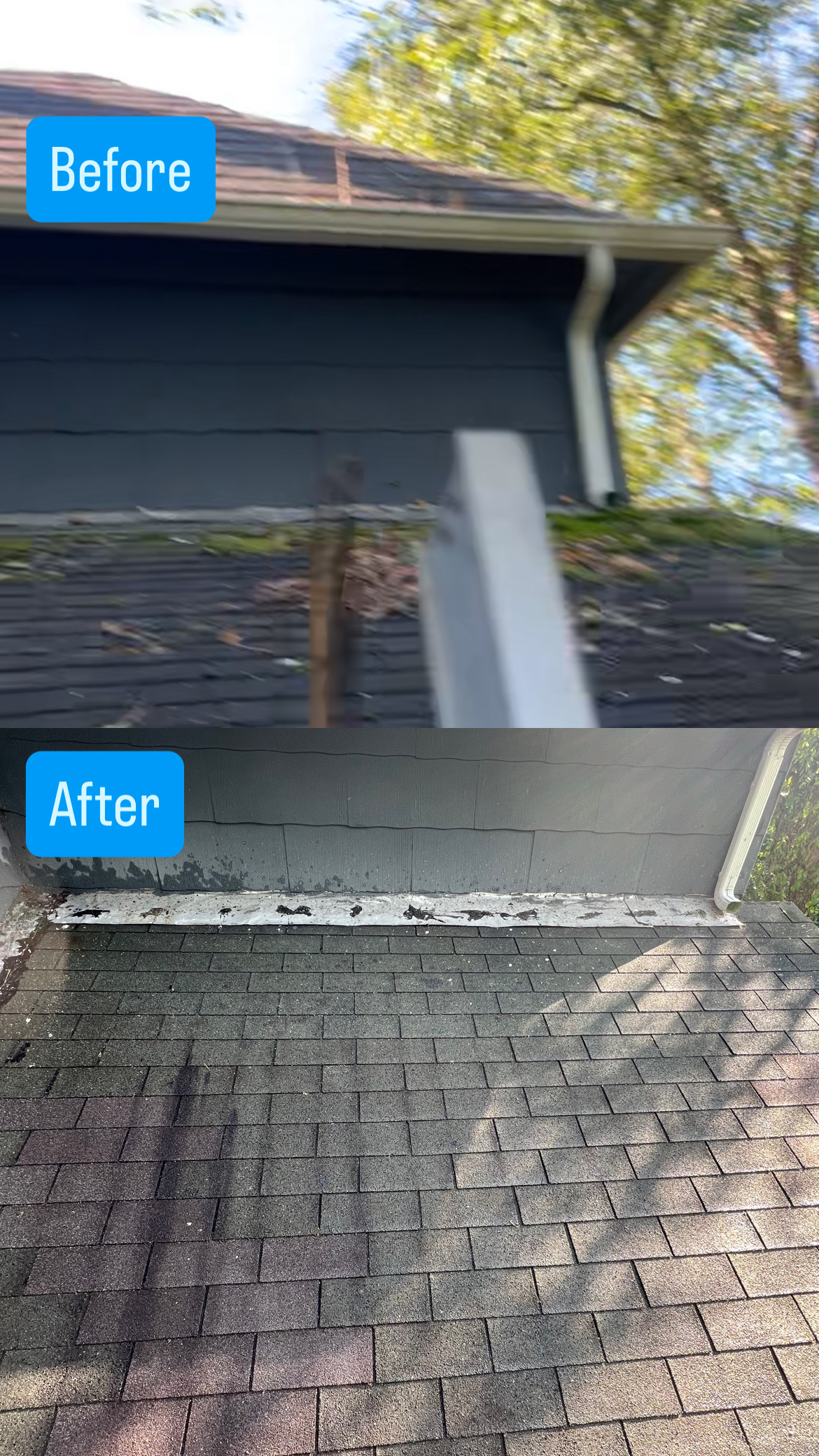 Roof washing High Bridge NJ soft wash roof cleaning