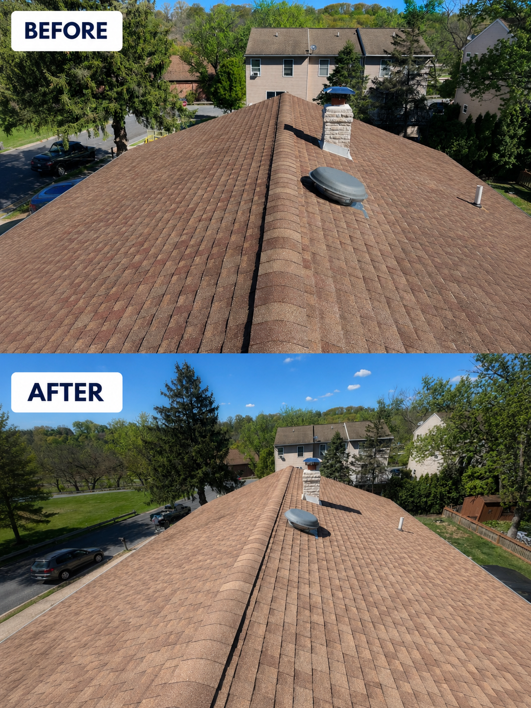 Instant before and after asphalt shingle roof cleaning in Easton PA by Capps Power Washing