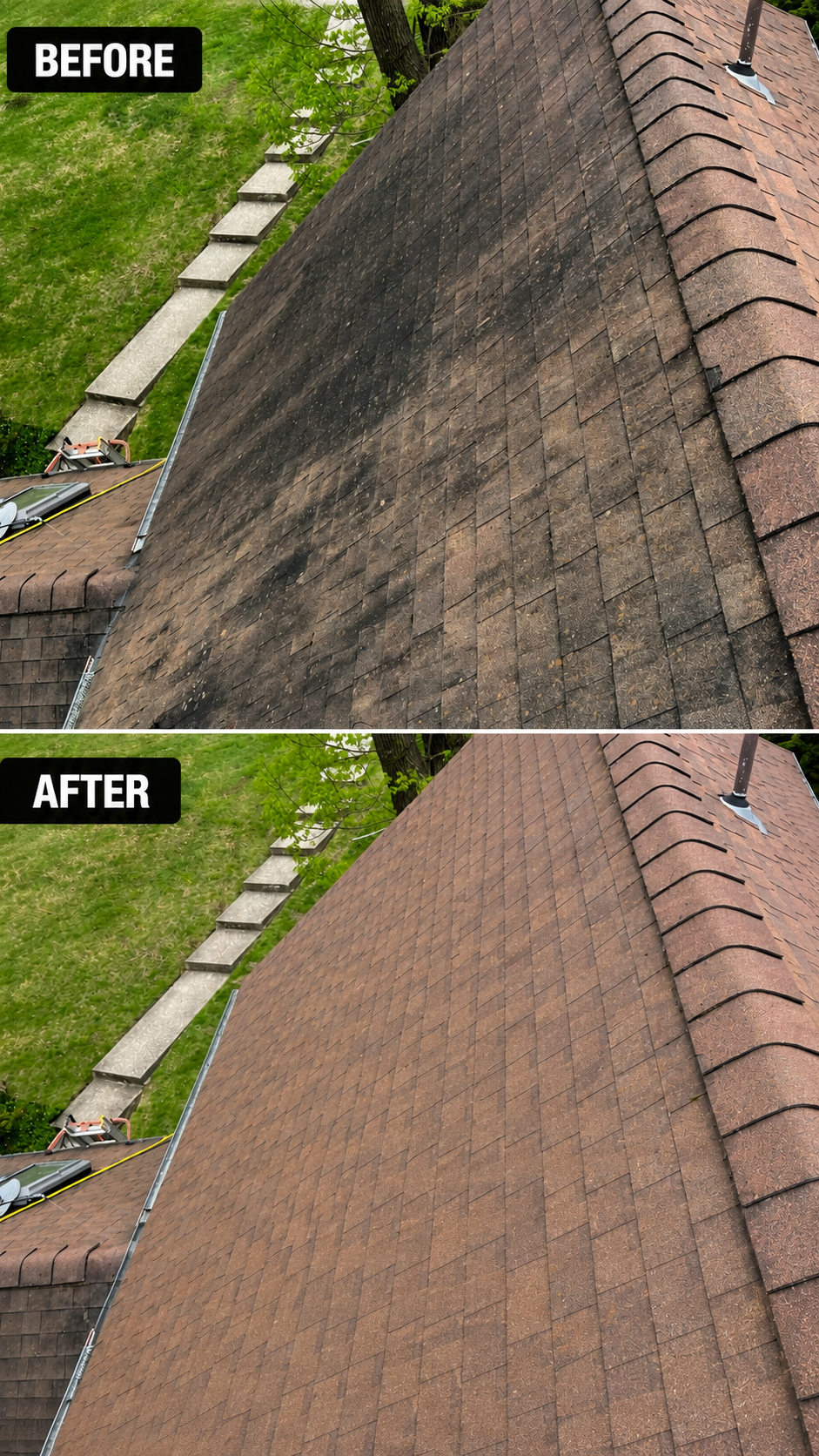 Roof washing and black streak removal before and after in Easton PA by Capps Power Washing